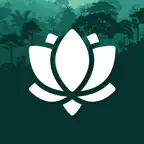 Daily Gratitude & Affirmations iOS Icon