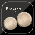 Bongos + - Drum Percussion Pad iOS Icon
