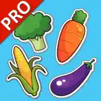 Vegetables Cards PRO iOS Icon
