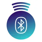 BlueFind iOS Icon
