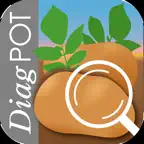 Di@gPot iOS Icon