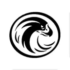 Saqr iOS Icon