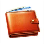 My Wallet: Income and Expense iOS Icon