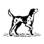 Pecan Square Life iOS Icon