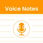 Voice Notes - By Swayam iOS Icon