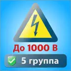 Электробезопасность тест 5 гр iOS Icon