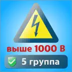 Электробезопасность тесты 5 гр iOS Icon