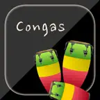 Congas + - Drum Percussion Pad iOS Icon