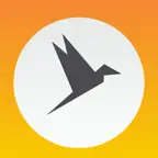 Dangerous Tower iOS Icon