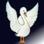 Narcisia iOS Icon