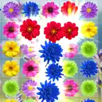 Flower Valley: Blossom Garden iOS Icon