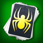 Spider Solitaire Calm iOS Icon