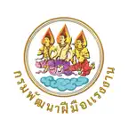 DSD iOS Icon