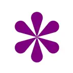 JUDY - Legal Research Platform icon