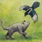Milo and the Magpies iOS Icon