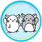 Chinchilla Minny New Normal iOS Icon