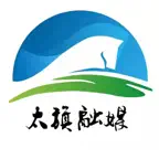 魅力太旗 iOS Icon