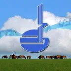 锦绣镶黄旗 Icon