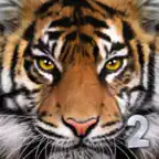 Ultimate Tiger Simulator 2 iOS Icon