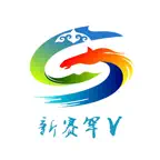 新赛罕V Icon