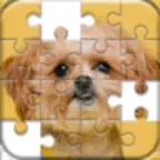 Jigsaw Puzzles Classic Games iOS Icon