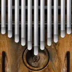 Real Kalimba iOS Icon