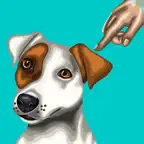 Dog of my dreams iOS Icon