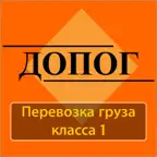 ДОПОГ 1 класс, Тесты iOS Icon