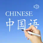 Chinese Words & Writing iOS Icon