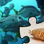 Aquatic School Edition iOS Icon