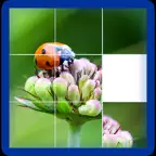 Photo Logic Game iOS Icon