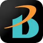 Briton CCTV Pro iOS Icon