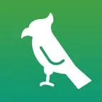 Memorize long sentences iOS Icon