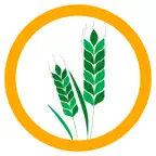 Sesame-AG iOS Icon