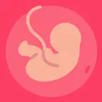Gestational Age (baby's age) icon