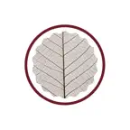 Sajva Service iOS Icon