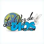 Radio La Voz de Dios 107.3 FM iOS Icon