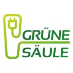 Grüne Säule iOS Icon