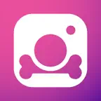 Pounce - Pet Photo Editor iOS Icon