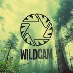WildCam iOS Icon