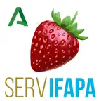 Riego Berry iOS Icon