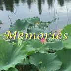 Memories: Photo Widget iOS Icon