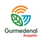 Gurmedenal Ataşehir iOS Icon