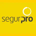 Segurpro Access Icon