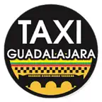 Taxis Guadalajara iOS Icon