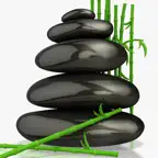 Massage Therapy Exams iOS Icon