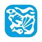 Δημότης Σκιάθου iOS Icon
