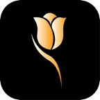Yiduo Visual iOS Icon