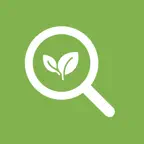 Everything Vegan iOS Icon