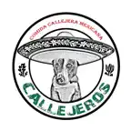 Callejeros iOS Icon